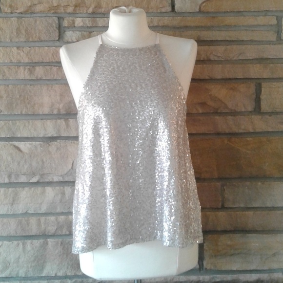Taylor & Sage Tops - Blush & Silver Sequin Swing Tank